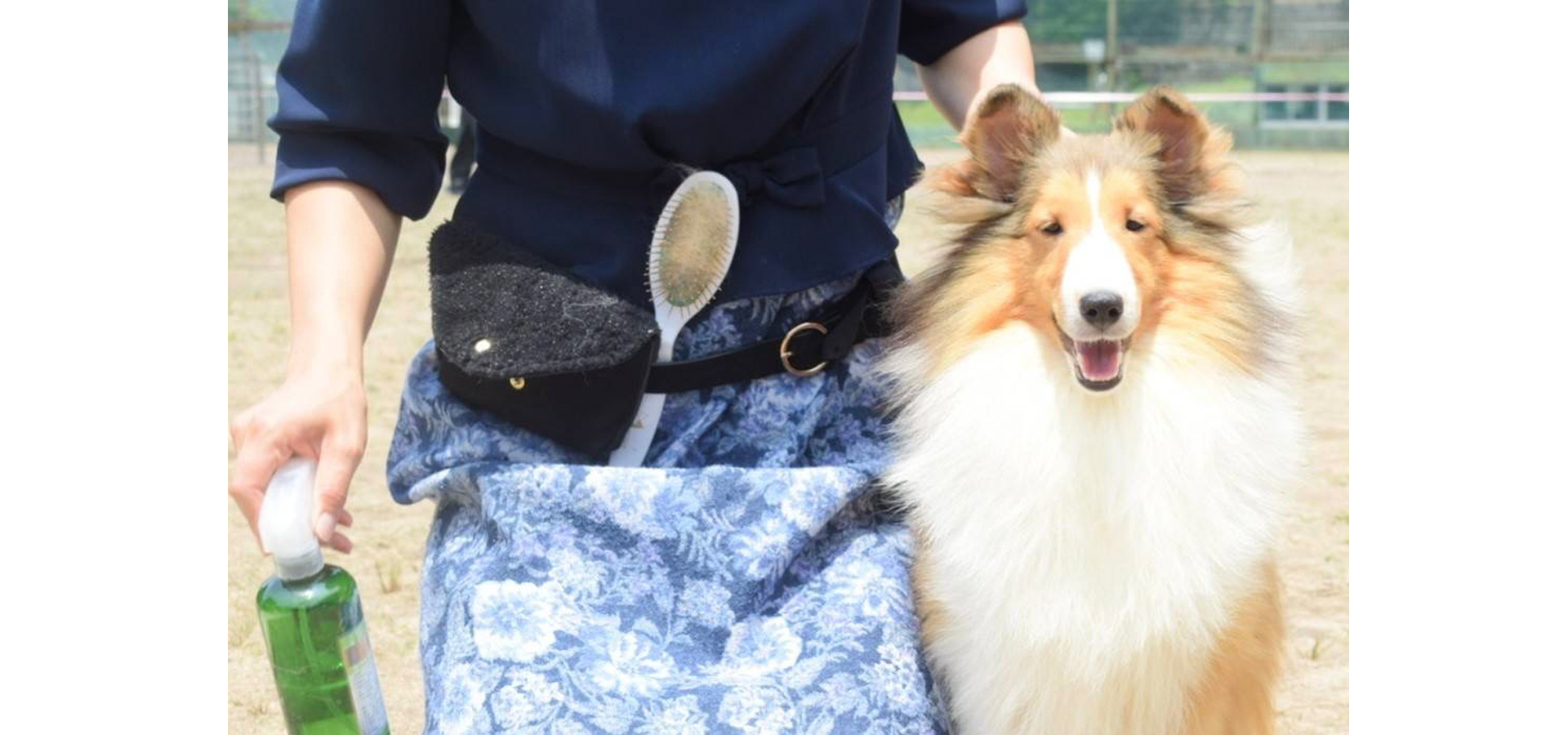 ドッグトータルプランニングオバタ